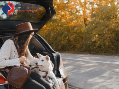Always Faithful Dog & Puppy Training Annapolis MD