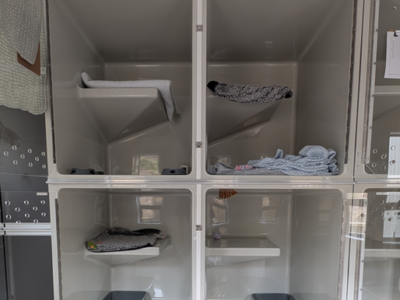 Nelson Cat Hotel - Vet Owned Cat Retreat