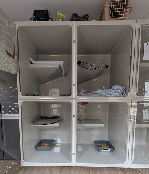 Nelson Cat Hotel - Vet Owned Cat Retreat