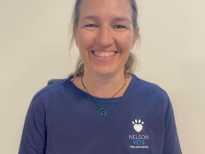 Nelson Cat Hotel - Vet Owned Cat Retreat