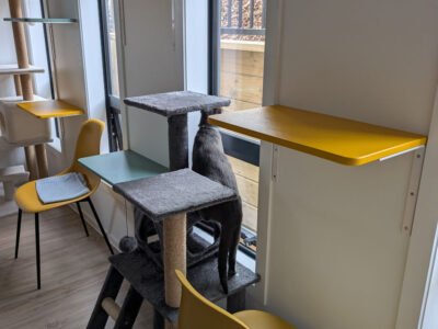 Nelson Cat Hotel - Vet Owned Cat Retreat