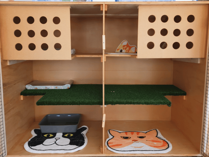 Catati Cat Hotel