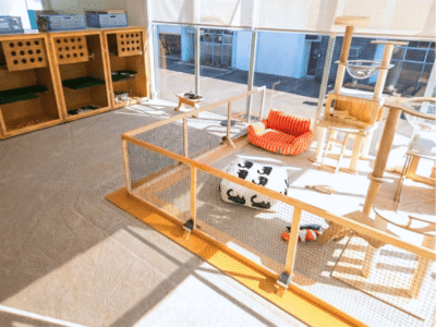Catati Cat Hotel