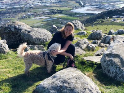 VIPets Dog Walking and Pet Sitting