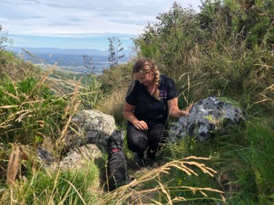 VIPets Dog Walking and Pet Sitting
