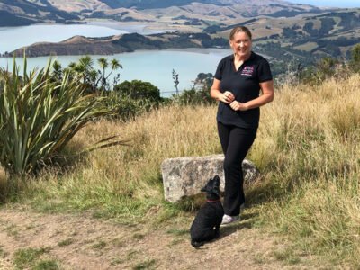 VIPets Dog Walking and Pet Sitting