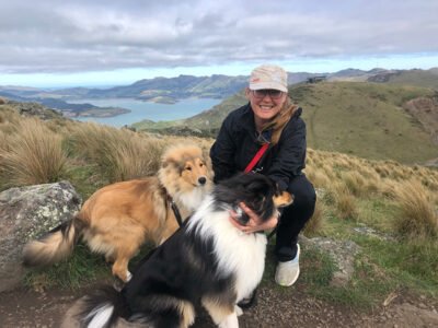 VIPets Dog Walking and Pet Sitting