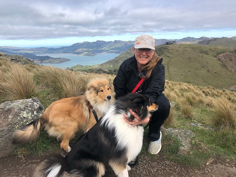 VIPets Dog Walking and Pet Sitting