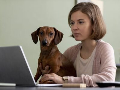 Online ESA Letter for Housing | Trusted ESA Letter Provider